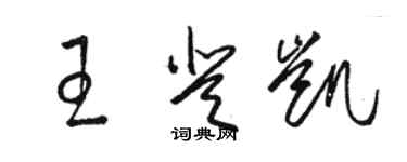 駱恆光王登凱草書個性簽名怎么寫