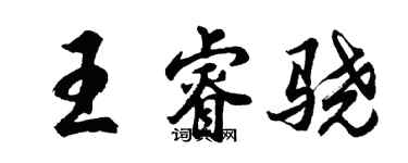 胡問遂王睿驍行書個性簽名怎么寫