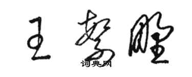 駱恆光王繁野草書個性簽名怎么寫