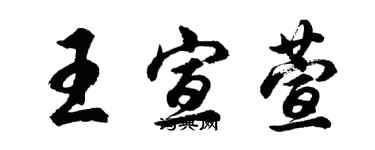 胡問遂王宣萱行書個性簽名怎么寫