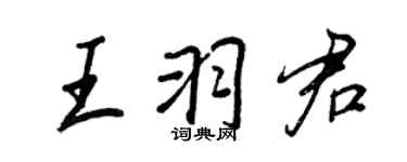 王正良王羽君行書個性簽名怎么寫