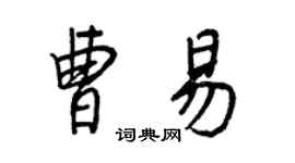 王正良曹易行書個性簽名怎么寫