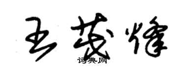 朱錫榮王茂烽草書個性簽名怎么寫