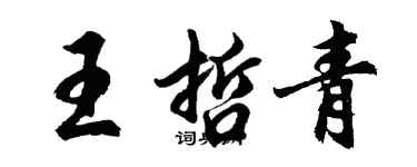 胡問遂王哲青行書個性簽名怎么寫