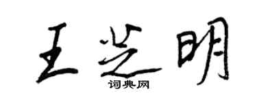 王正良王芝明行書個性簽名怎么寫