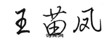 駱恆光王苗鳳行書個性簽名怎么寫