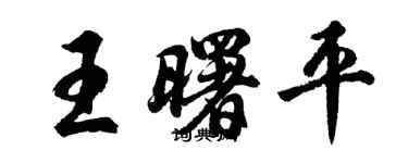 胡問遂王曙平行書個性簽名怎么寫