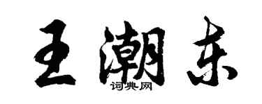 胡問遂王潮東行書個性簽名怎么寫