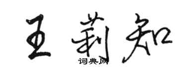 駱恆光王莉知行書個性簽名怎么寫