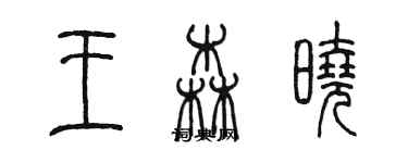 陳墨王森曉篆書個性簽名怎么寫