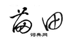 駱恆光苗田草書個性簽名怎么寫