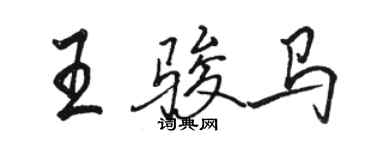 駱恆光王駿馬行書個性簽名怎么寫