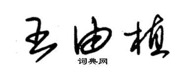 朱錫榮王由植草書個性簽名怎么寫