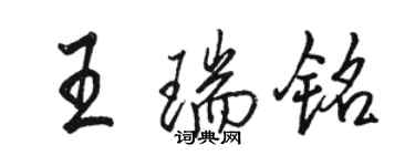 駱恆光王瑞銘行書個性簽名怎么寫