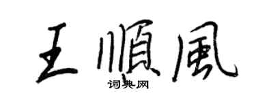 王正良王順風行書個性簽名怎么寫