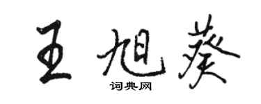 駱恆光王旭葵行書個性簽名怎么寫