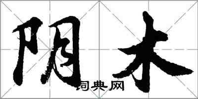 胡問遂陰木行書怎么寫