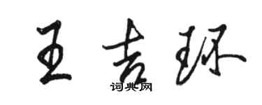 駱恆光王吉環行書個性簽名怎么寫