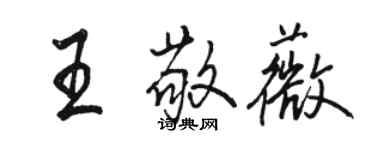 駱恆光王敬薇行書個性簽名怎么寫