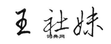 駱恆光王社妹行書個性簽名怎么寫