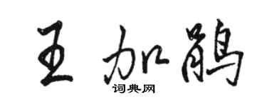 駱恆光王加鵑行書個性簽名怎么寫