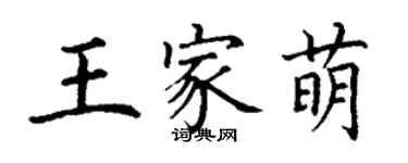 丁謙王家萌楷書個性簽名怎么寫