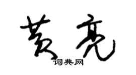 朱錫榮黃亮草書個性簽名怎么寫