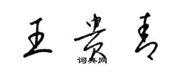 梁錦英王貴青草書個性簽名怎么寫