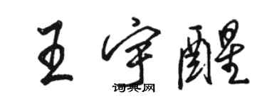 駱恆光王宇醒行書個性簽名怎么寫