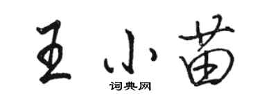 駱恆光王小苗行書個性簽名怎么寫