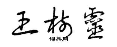 曾慶福王樹靈草書個性簽名怎么寫