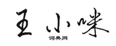 駱恆光王小咪行書個性簽名怎么寫