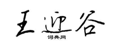 王正良王迎谷行書個性簽名怎么寫