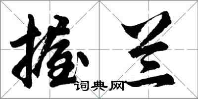 胡問遂握蘭行書怎么寫