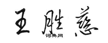 駱恆光王勝慈行書個性簽名怎么寫