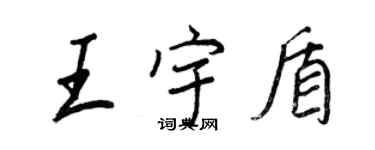 王正良王宇盾行書個性簽名怎么寫