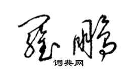 梁錦英羅鵬草書個性簽名怎么寫