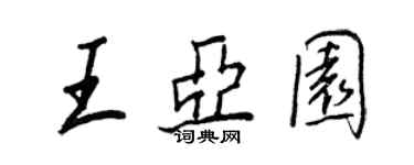 王正良王亞園行書個性簽名怎么寫