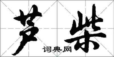 胡問遂蘆柴行書怎么寫