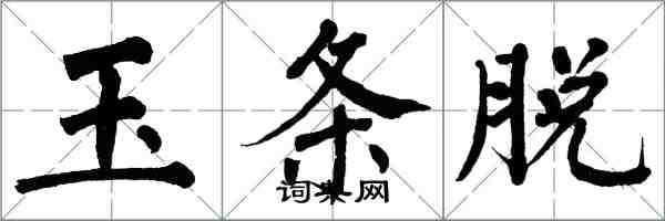 翁闓運玉條脫楷書怎么寫