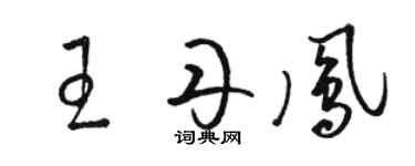 駱恆光王丹鳳草書個性簽名怎么寫