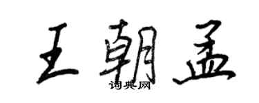 王正良王朝孟行書個性簽名怎么寫