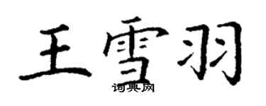 丁謙王雪羽楷書個性簽名怎么寫