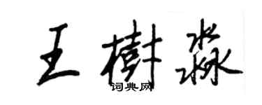 王正良王樹淼行書個性簽名怎么寫