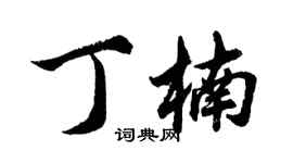胡問遂丁楠行書個性簽名怎么寫