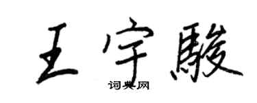 王正良王宇駿行書個性簽名怎么寫