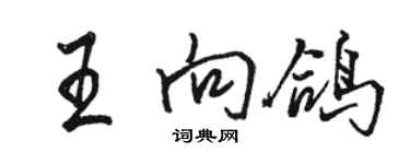 駱恆光王向鴿行書個性簽名怎么寫