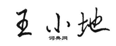 駱恆光王小地行書個性簽名怎么寫