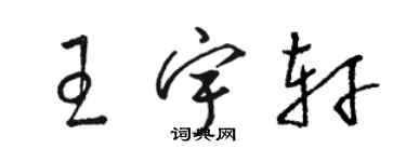 駱恆光王宇軒草書個性簽名怎么寫