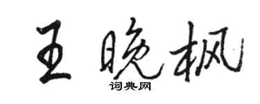 駱恆光王晚楓行書個性簽名怎么寫